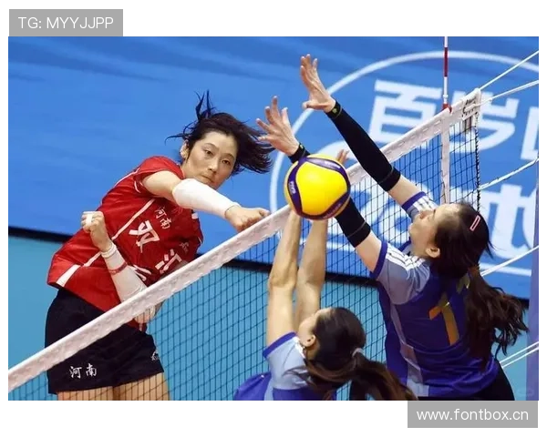 朱婷家的猫都比我会挑沙发