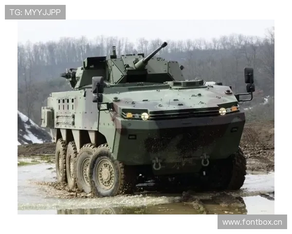 琼阿梅尼是否依赖体系？战术角色与适配性分析