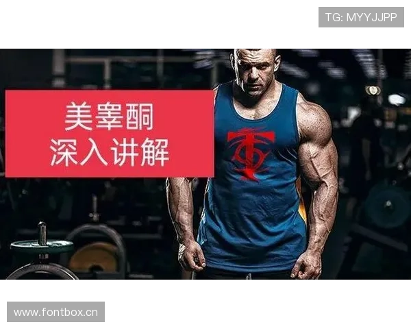 深入解析篮球挑战判罚规则的具体执行标准与流程细节说明